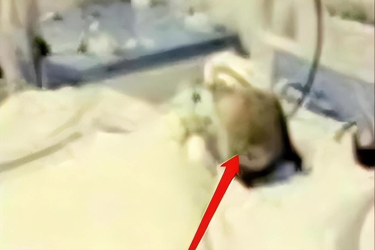 台媒曝费玉清病情恶化，昏迷半个月狂瘦24斤，私生子身伴左右