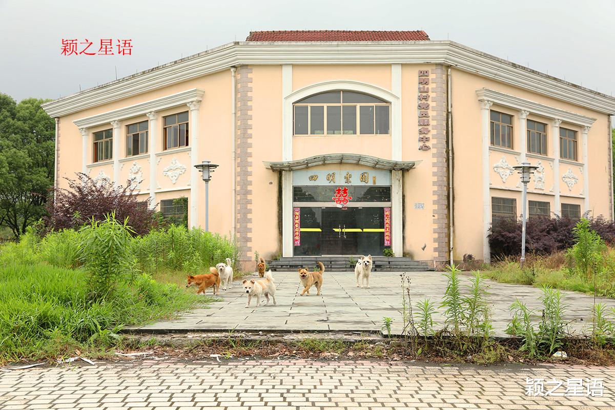 宁波|龙鹫登山步道,适合为了健身而走路