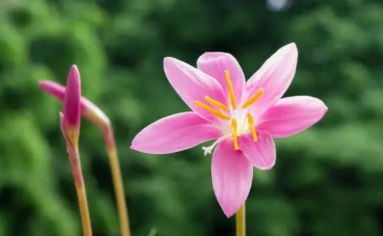 退休之后,不必合群,尽早远离这几个社交圈子