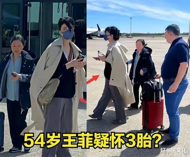 王菲|54岁王菲怀上第3胎？快放过她吧