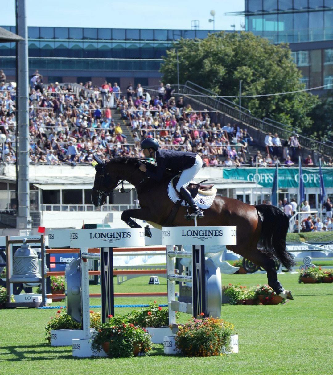 甲a|赛马赢了齐威王的思忌先生，为何会输了自己的职业生涯？