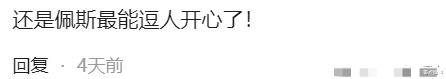 春晚|2024年春晚彩排爆冷：沈腾马丽恐将缺席，新喜剧人能否逆袭？