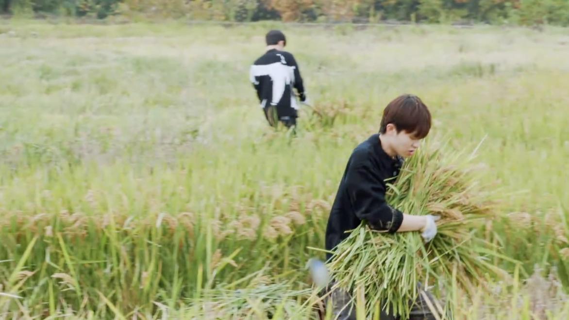 种地吧|糊咖爱豆集体种地？2023第一档王炸真人秀，撕开多少国综的遮羞布