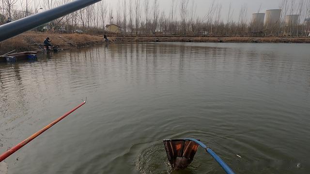 |品牌大厂开始走平民价路线，一竿两用，省钱又得劲儿！