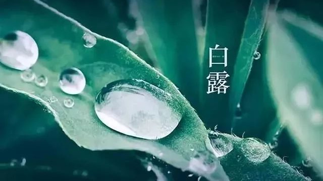 银耳|明日白露，老一辈人说：“3菜不上桌，福气不进门”，指哪3菜？早知道早受益