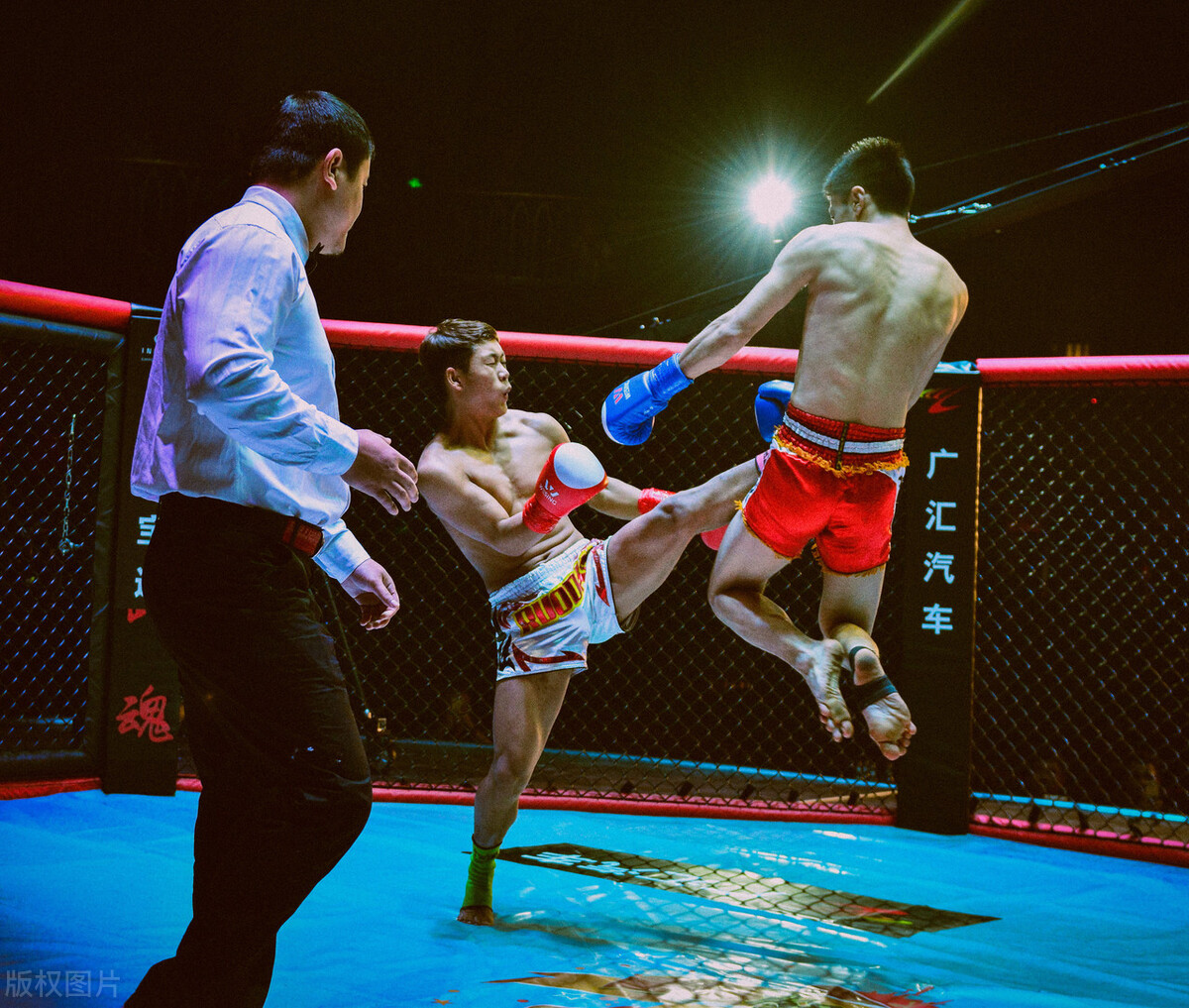 《八角笼中》夺得33项成就,引爆观影热潮!票房势不可挡!