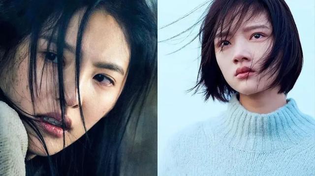 |85花魅力不减，95花已经蓄势待发