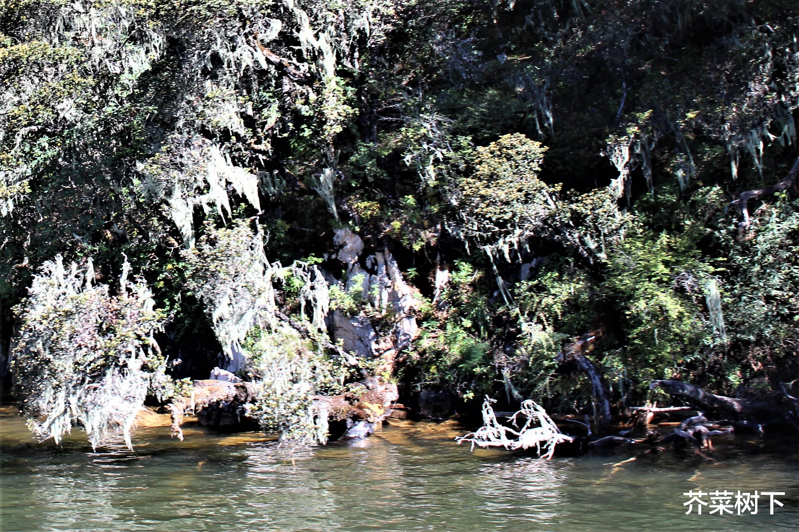 |职场人际,搭台还是拆台