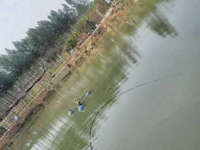 |钓虾农场作钓，酣畅淋漓擒巨物！