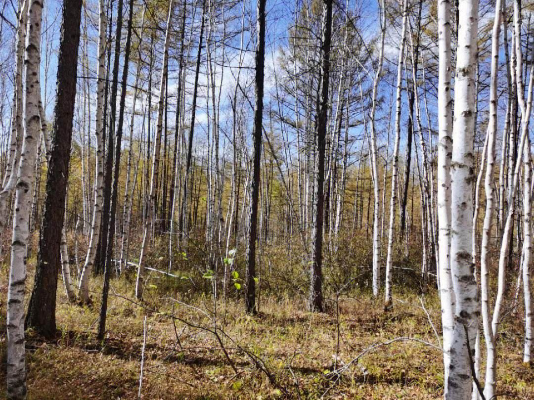 鬼吹灯是一个老人所写?答案:是他!