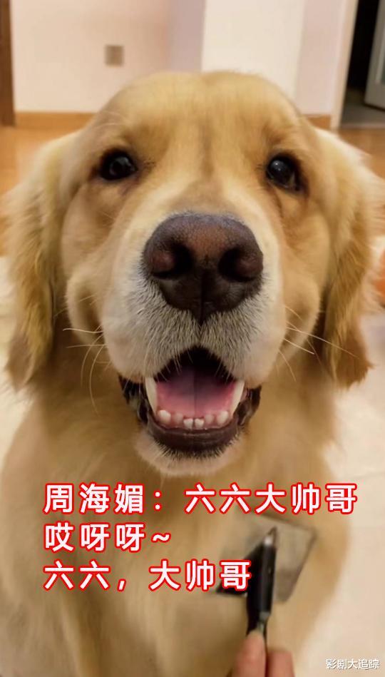 曝周海媚刚离世四天!保姆就删她宠物介绍改主页,背后目的惹争议