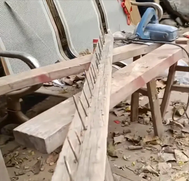 大衣哥是狠人！大门上安滚钉板，围墙上种仙人掌，粉丝们要小心