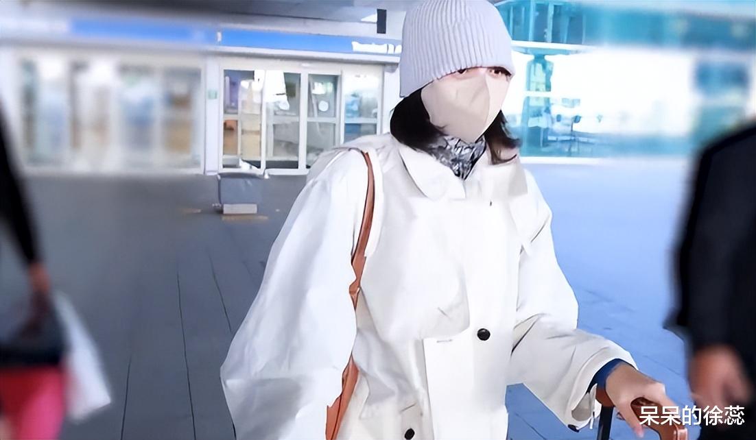 Lisa经历掉粉危机,机场几乎无人接机,加盟疯马秀或成败笔