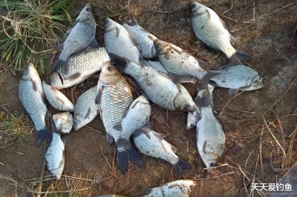 冬季野钓人找鱼,4种地形必有鱼窝,找对位置事半功倍