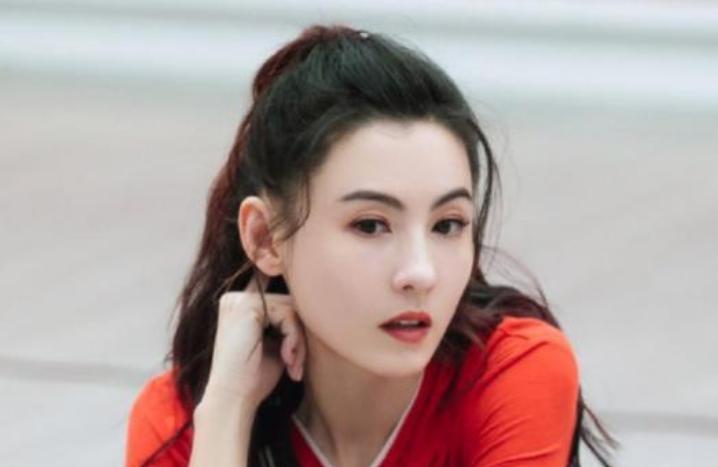 张柏芝被曝带子改嫁,谢贤疑重改遗嘱,共分成3份,惹张柏芝不快