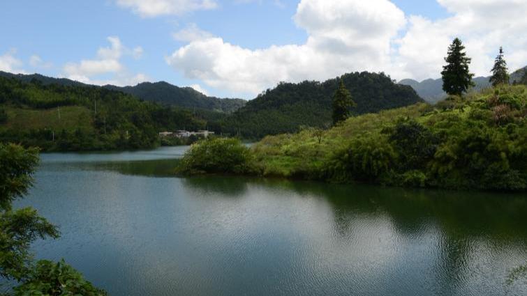 钓鱼|江西一农家乐免费钓鱼，年赚140万，钓友们人傻钱多？