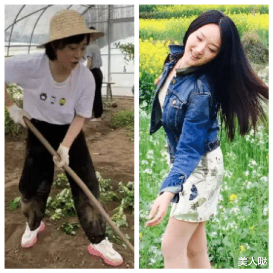 孙俪和杨钰莹同样下地干农活!一个埋头苦干太接地气,一个化妆摆拍超做作