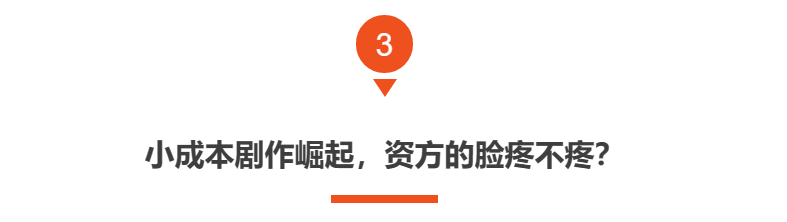 《兰闺喜事》评分8.7,打了多少资方的脸,刘琳又赌对了