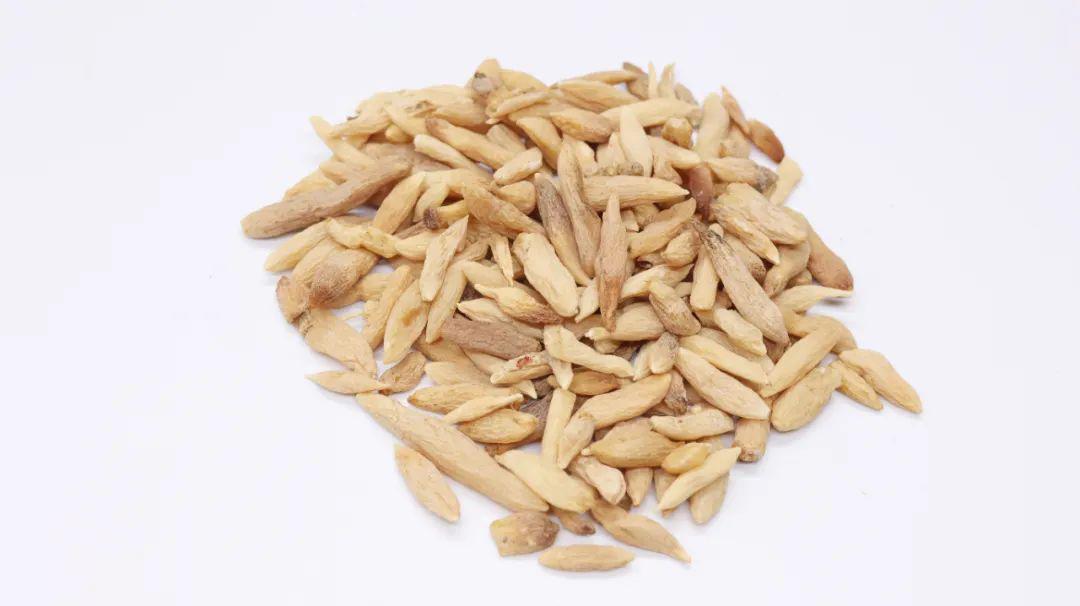 中药|一味奇妙的中药，抗血栓抗肿瘤，降血糖降血脂，还可以保护心功能