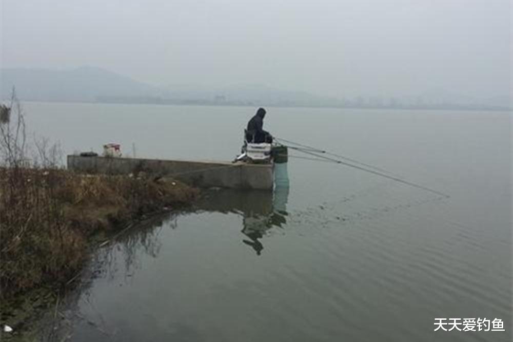 寒冬野钓十有九空，除非遇上这种天气，鲫鱼吃口最好