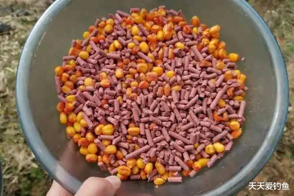 野钓布窝4“要”原则，聚鱼手法不对，大鱼进窝也游走