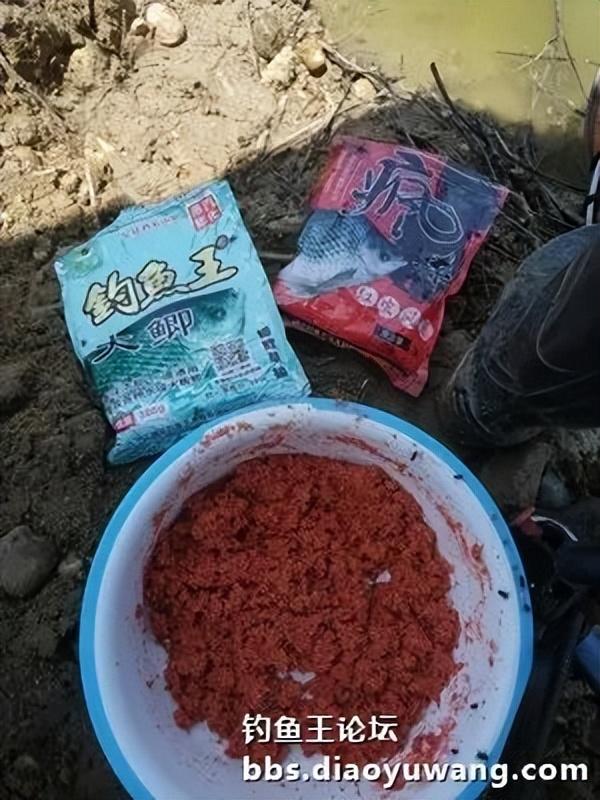 五龙河畔钓休闲,鲫鲤鲢鳙出水面