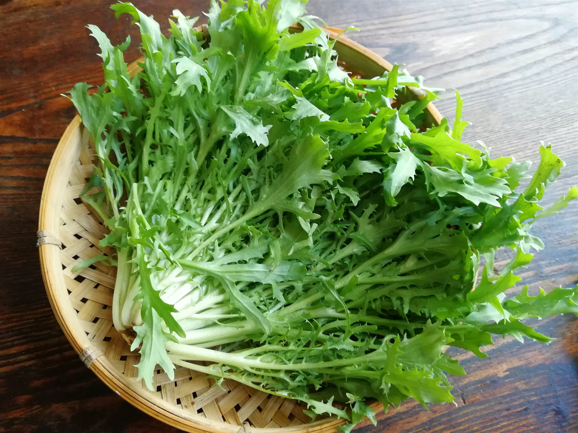 凉拌|立冬后，西红柿、黄瓜靠边站，这菜抓紧吃！全身是宝，凉拌特爽