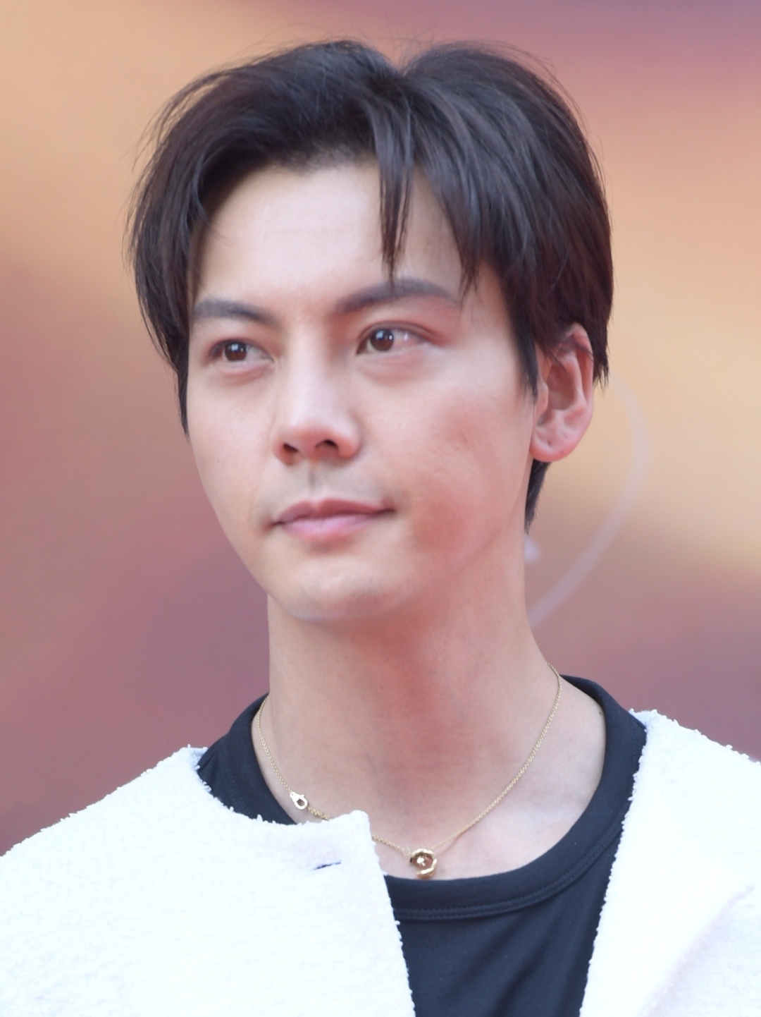 |华表奖男星怼脸生图:全部是普男,苏有朋和韩庚发福,王一博脸肿