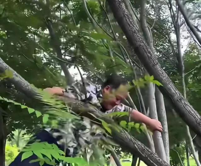谢广坤|演员谢广坤,爬树掏鸟窝,从高空重重摔下来,隔着屏幕都感到疼痛!