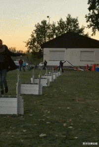 |“华为1996年的招聘广告，大家自己感受一下！”人才啊