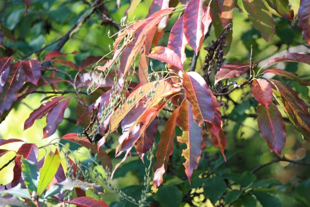 如何处理恋爱中的分歧和争吵 - 情感资讯(主打网)