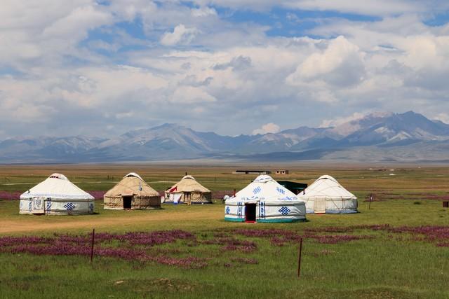 西藏|在西藏遇到白色帐篷，为啥要躲着？老牧民直言：进去谁也帮不了你