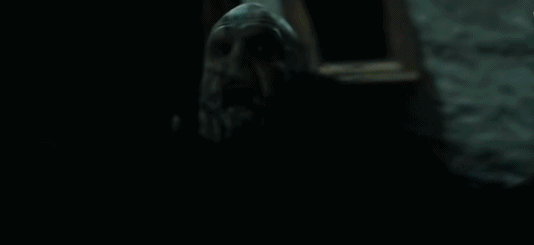 哈利·波特,已终生瘫痪