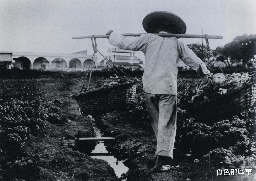 古巴|古巴人每天都吃些什么?看看真正的古巴饮食都有哪些吧