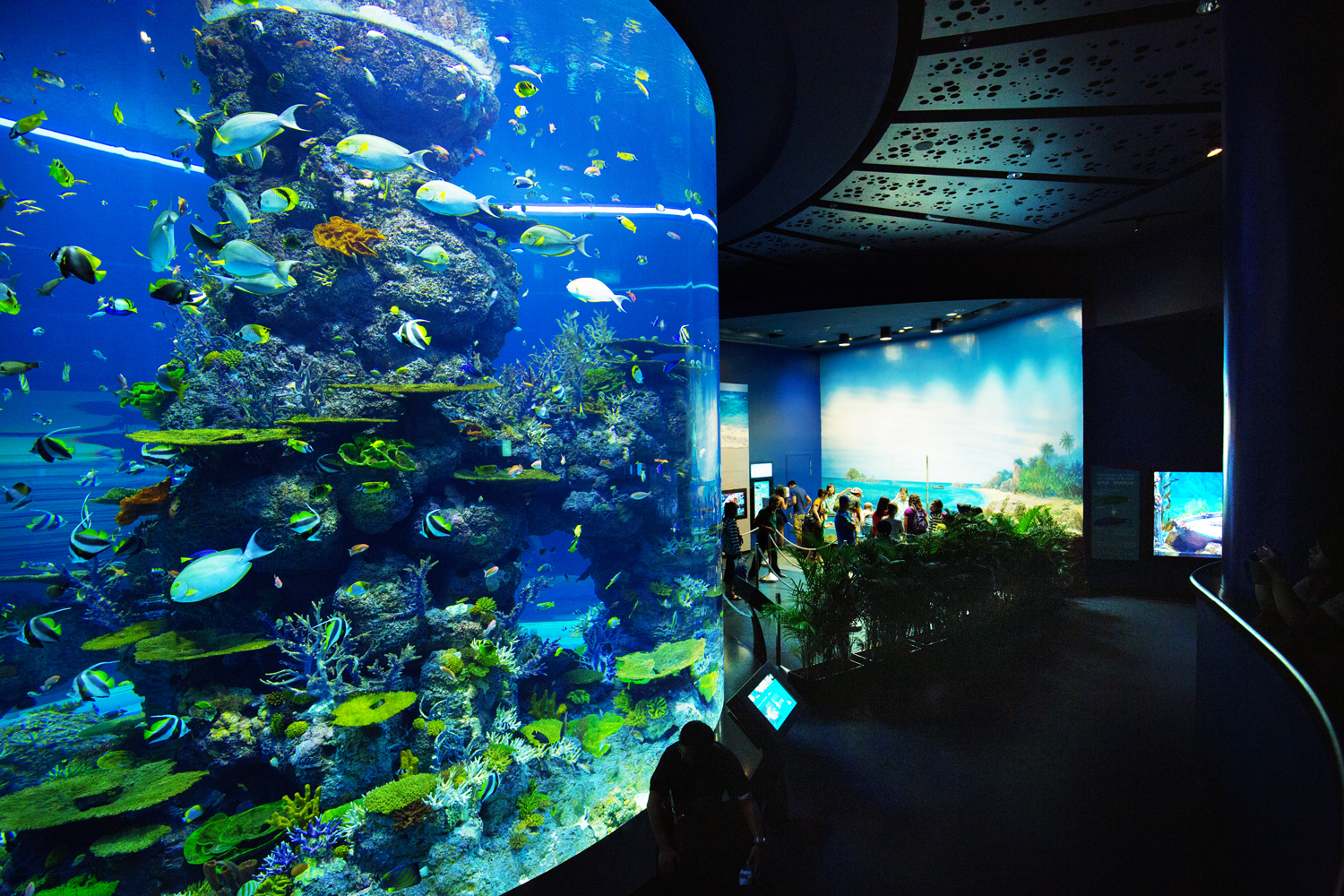 嘉兴海底世界海洋馆图片