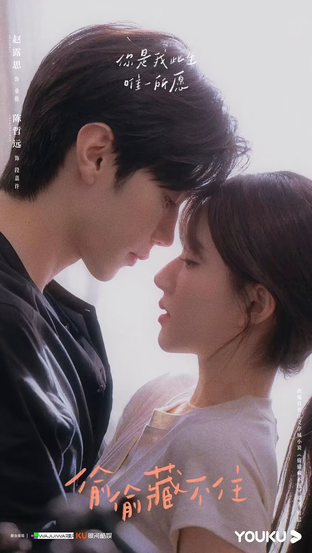 难哄|《难哄》被传影视化,男女主分别是张凌赫和王楚然