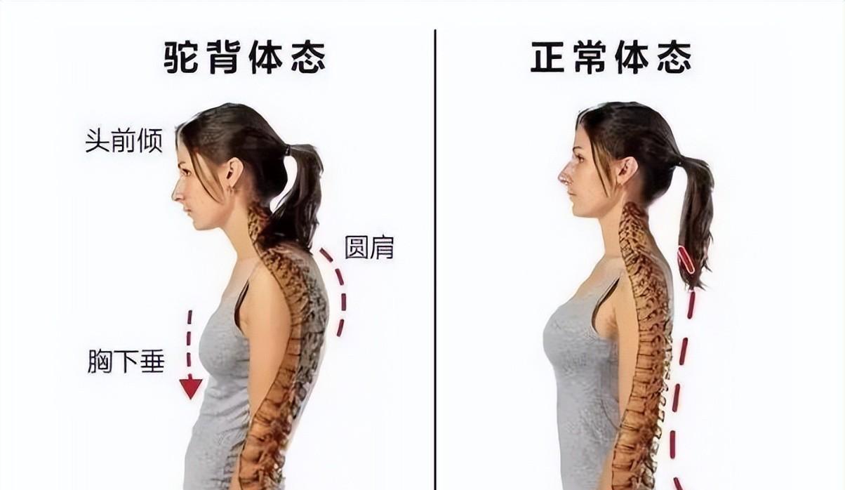 柳岩瘦了胸缩水?如何减肥不减胸?坚持4步重塑饱满挺拔