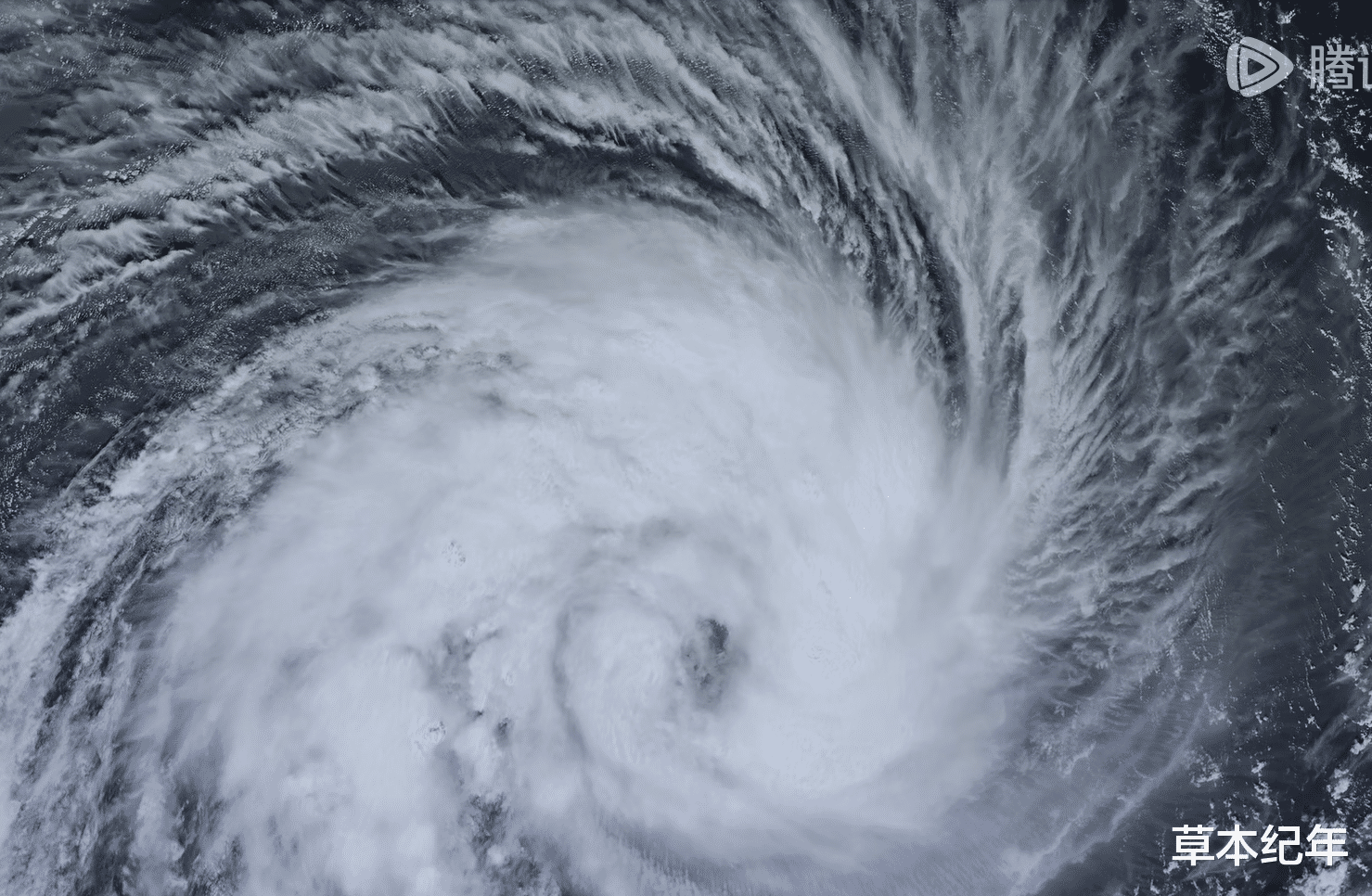 播2集全国第1,刘奕君王劲松太过出色,《狂飙》后我唯一想追的剧