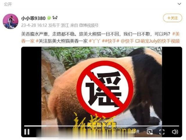 大熊猫|中国大熊猫保护研究中心澄清多只大熊猫相关谣言