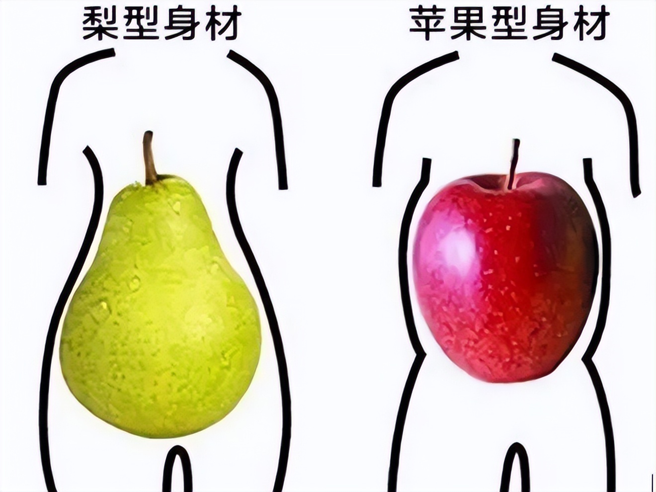 运动|肥胖总是胖肚子？小腹太“凸”出到底是为什么