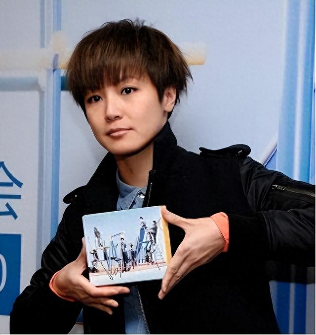 大快人心!19年让联合国把中国除名的何韵诗,兴风作浪7年终被抓