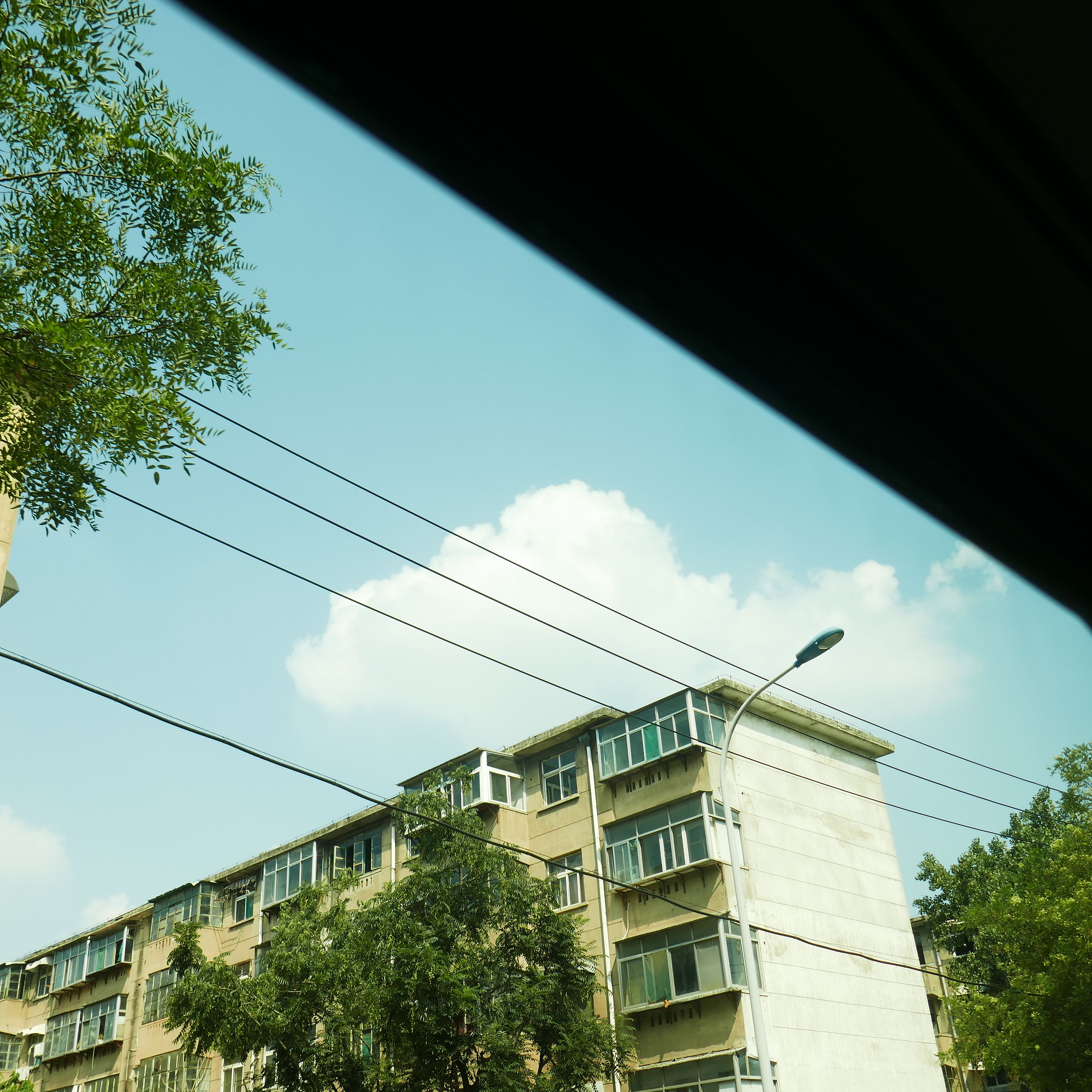 胡说 | 我该招聘我暗恋的女孩，来我公司吗？