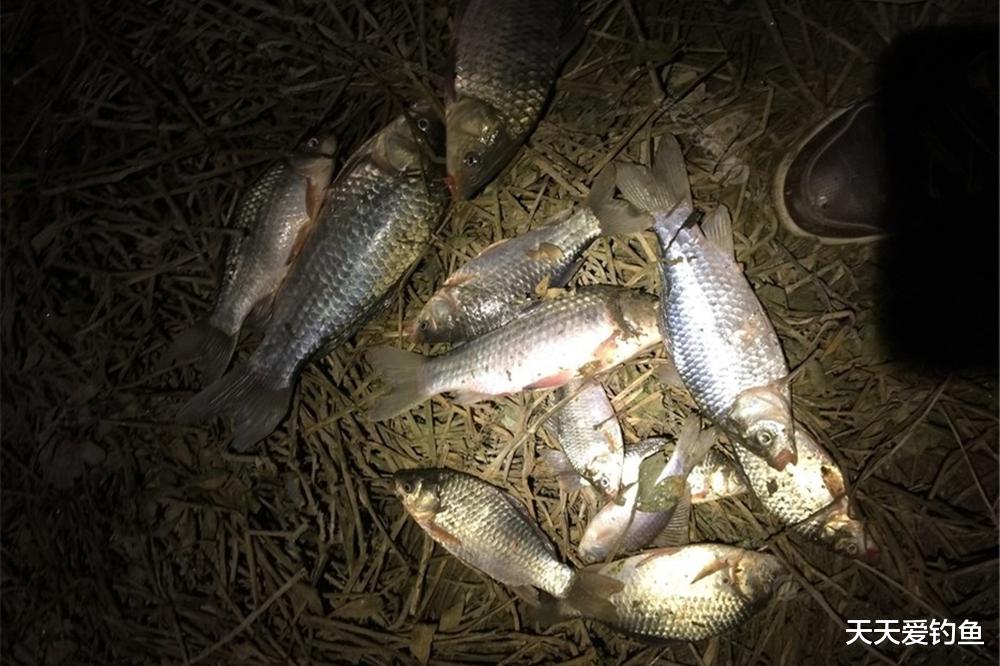 钓鱼技巧：3种夜钓用漂方法，浮漂分别怎么调？