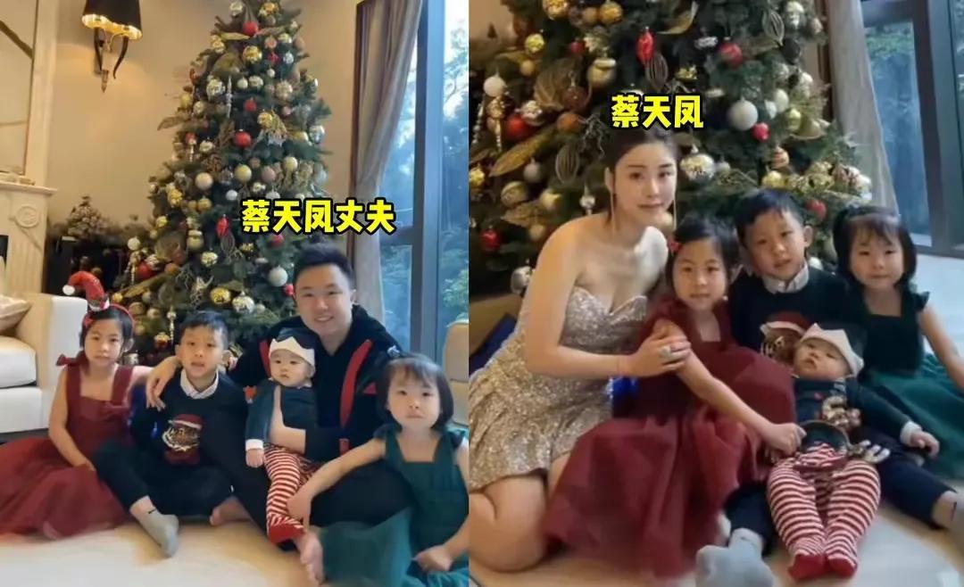 蔡天凤|蔡天凤真实身份被扒:父母是海南富商,身高1.55跻身香港名媛!