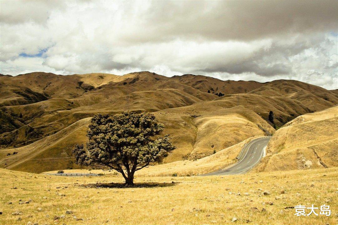 大学|给你绝望的人,逼着你相信希望