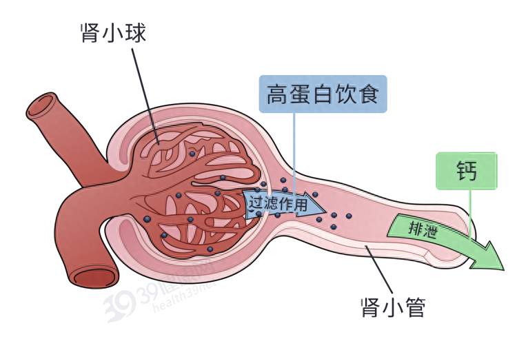 为什么有人天天喝牛奶，还是很缺钙？研究：可能是吃了这些食物