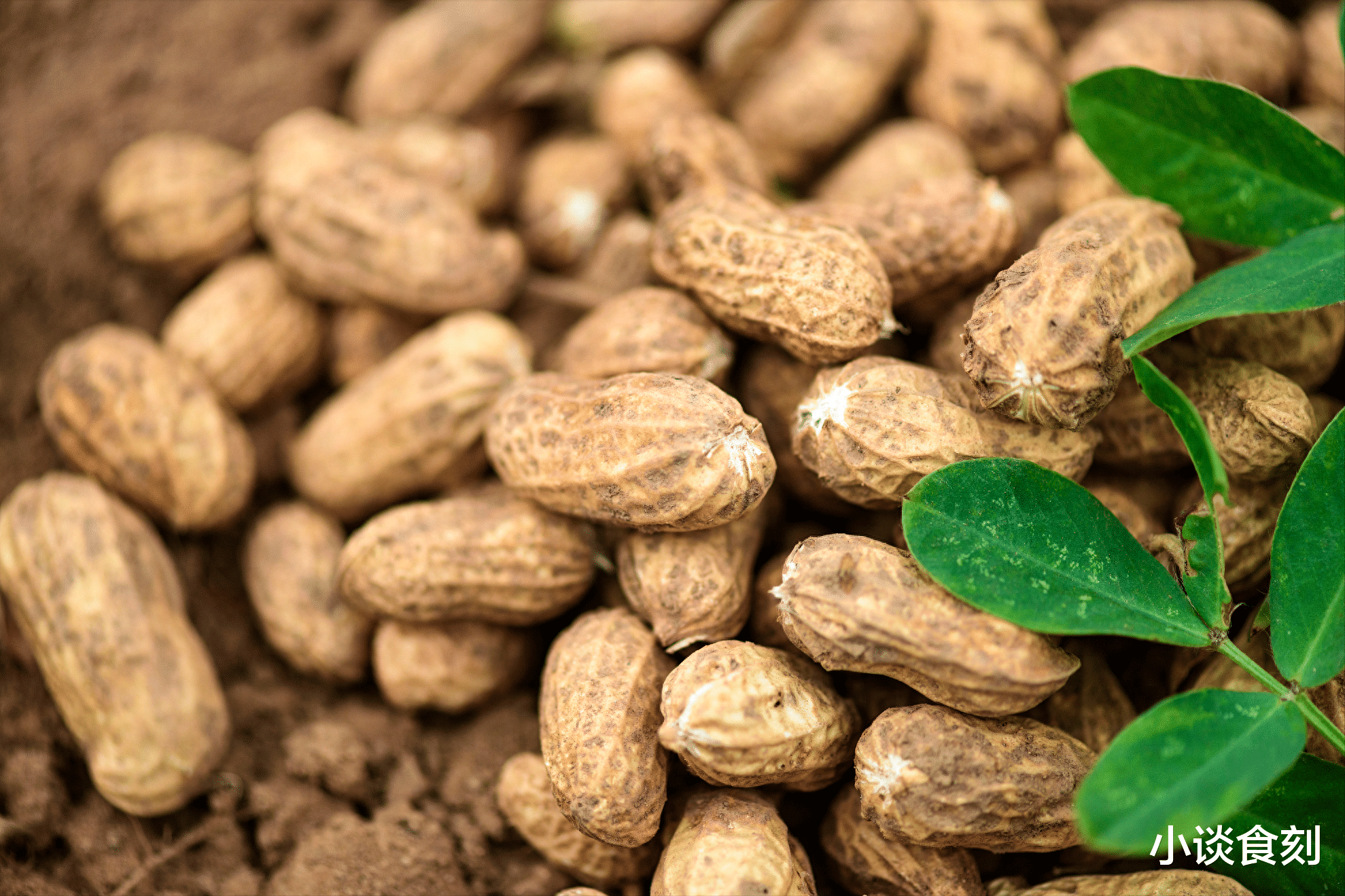 扁豆|明日九月初一,不管有钱没钱,5样东西多囤点,关键时刻有大作用