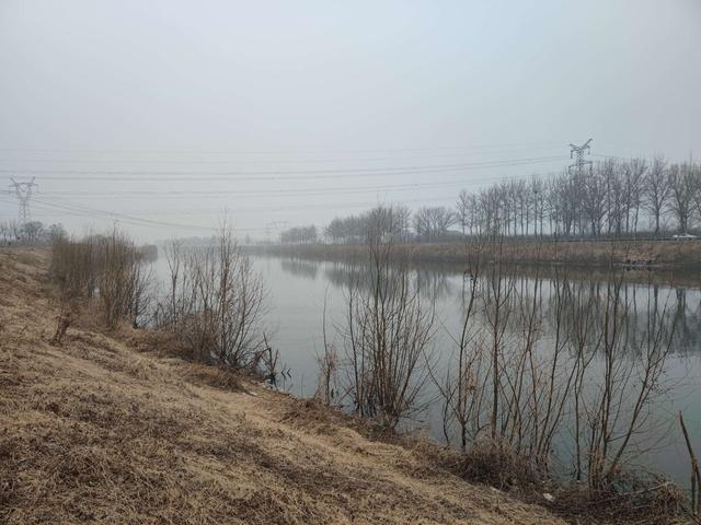 夜钓|惊喜来太突然，大鲤鱼突破个人野钓记录