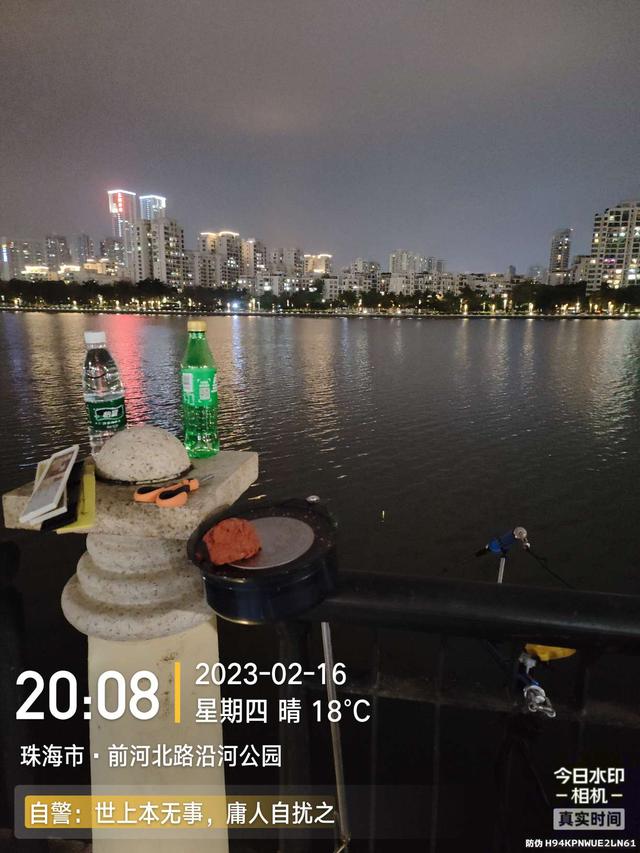 鲤鱼|给鱼尝尝肥宅快乐水，前有花河豚后有靓鲤鱼