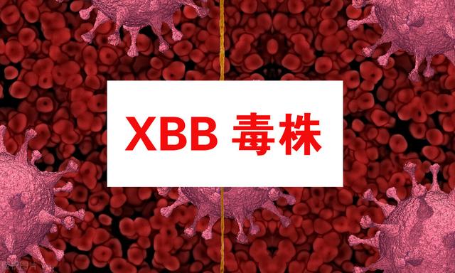 清华大学重大突破!已找到预防奥密克戎抗体,?XBB.1.5迎来克星?